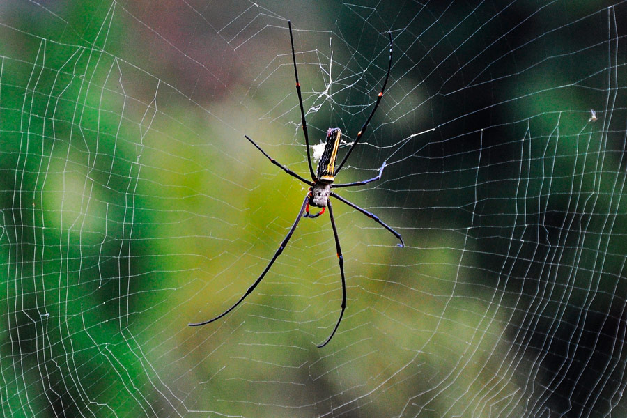 DSC_1189M2w