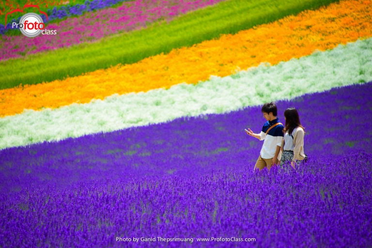 Hokkaido-1