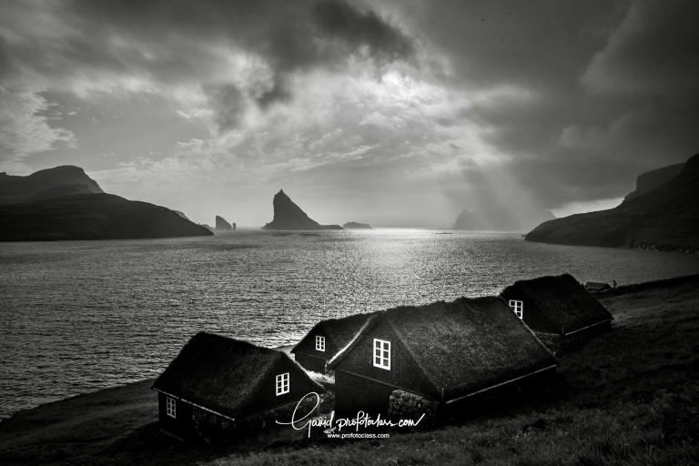 _DSC0871WS
